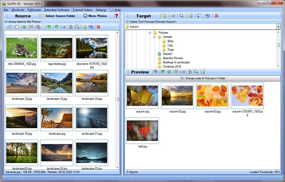 Photo Organizer Software Windows 10