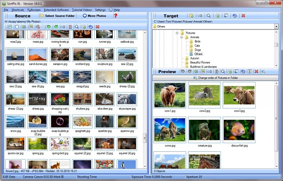 Photo Organizing Software Download