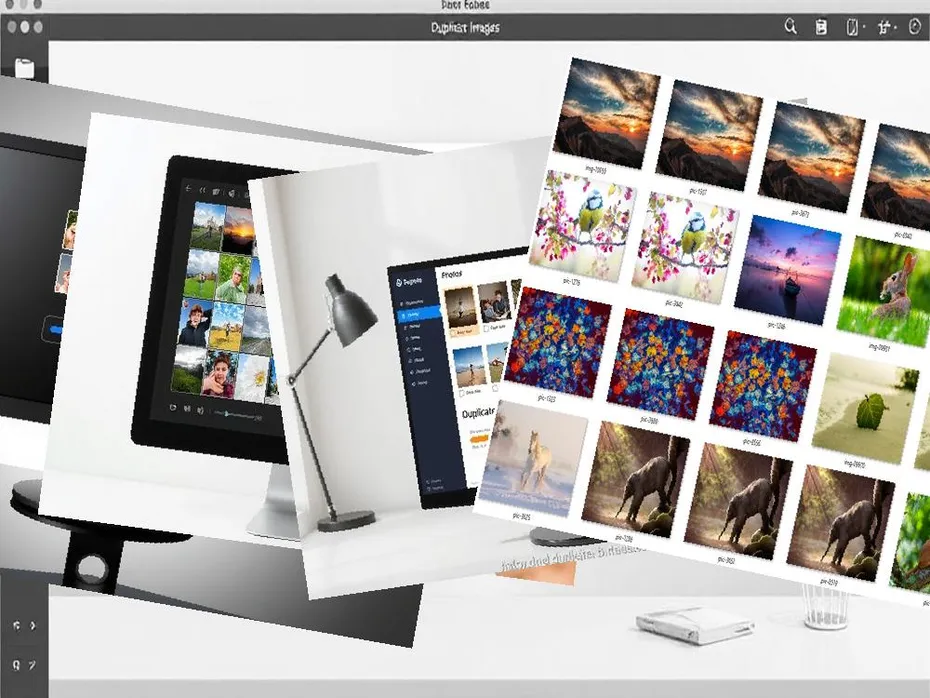 Duplicate Photo Program