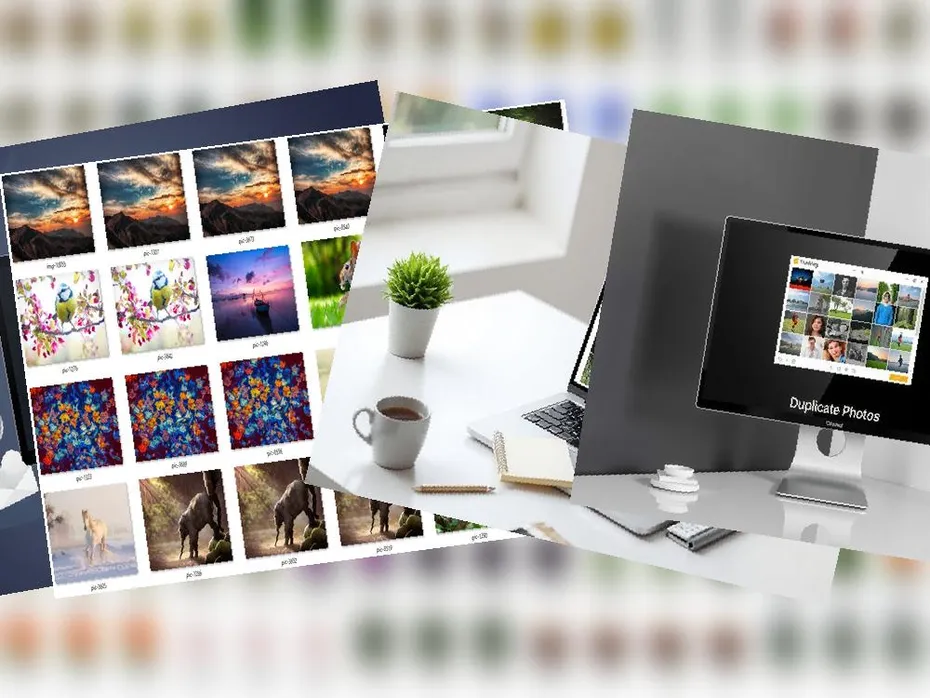 Software to Organize Photos and Delete Duplicates