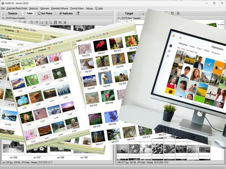 Best Photo Organizing and Storage