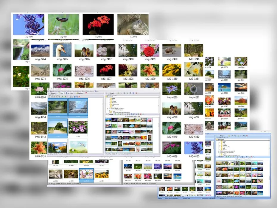 Best Way to Organise Photos on PC