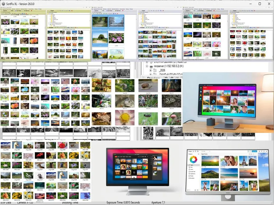 Best Way to Organize Photos on Phone