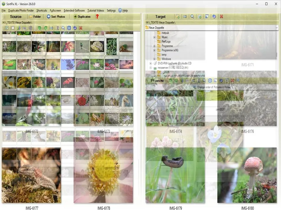 Family Photo Management