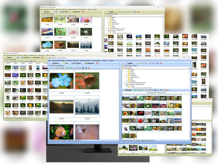 Organize Photo Albums