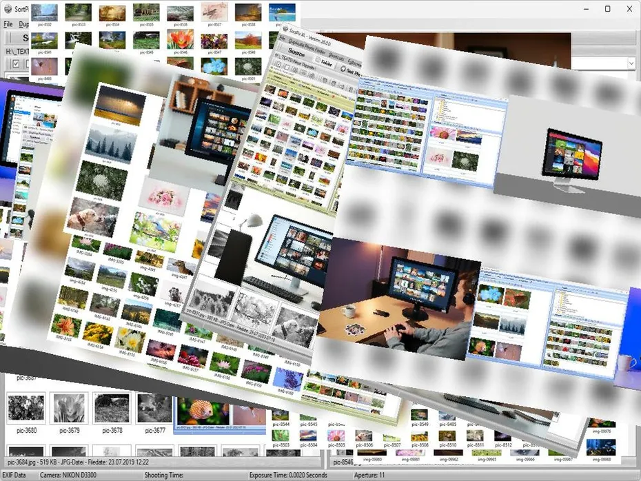 Photo Library Organizer